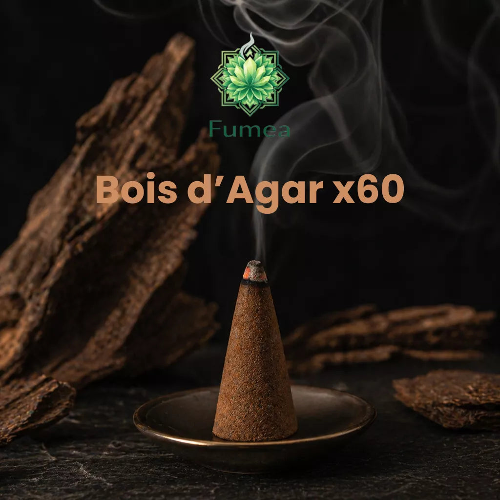 Pack de 60 Cônes Encens FUMEA