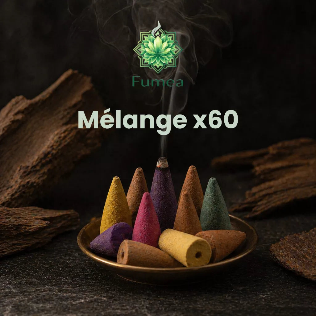 Pack de 60 Cônes Encens FUMEA
