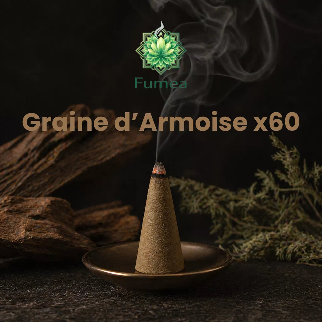 Pack de 60 Cônes Encens FUMEA