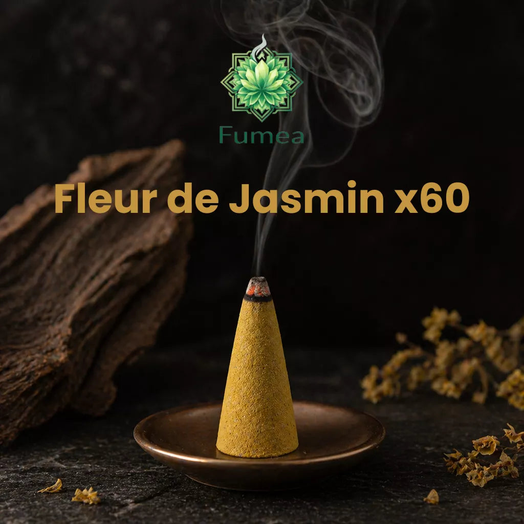 Pack de 60 Cônes Encens FUMEA